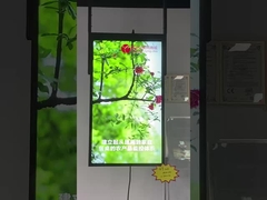 exhibición de la ventana